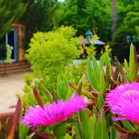 Alambique - & Ξενοδοχείο 4*