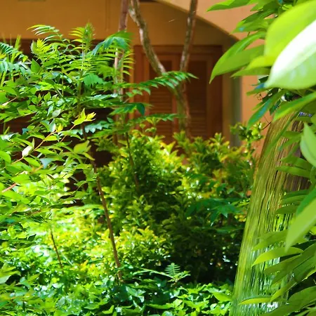 Ξενοδοχείο Alambique - & Fundão