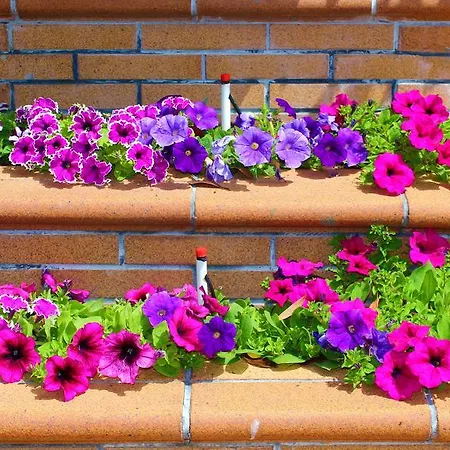 Alambique - & 4* Fundão